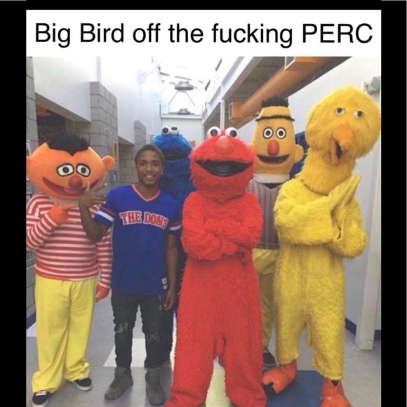 Big Bird been through some stuff - Picture 1 of 1